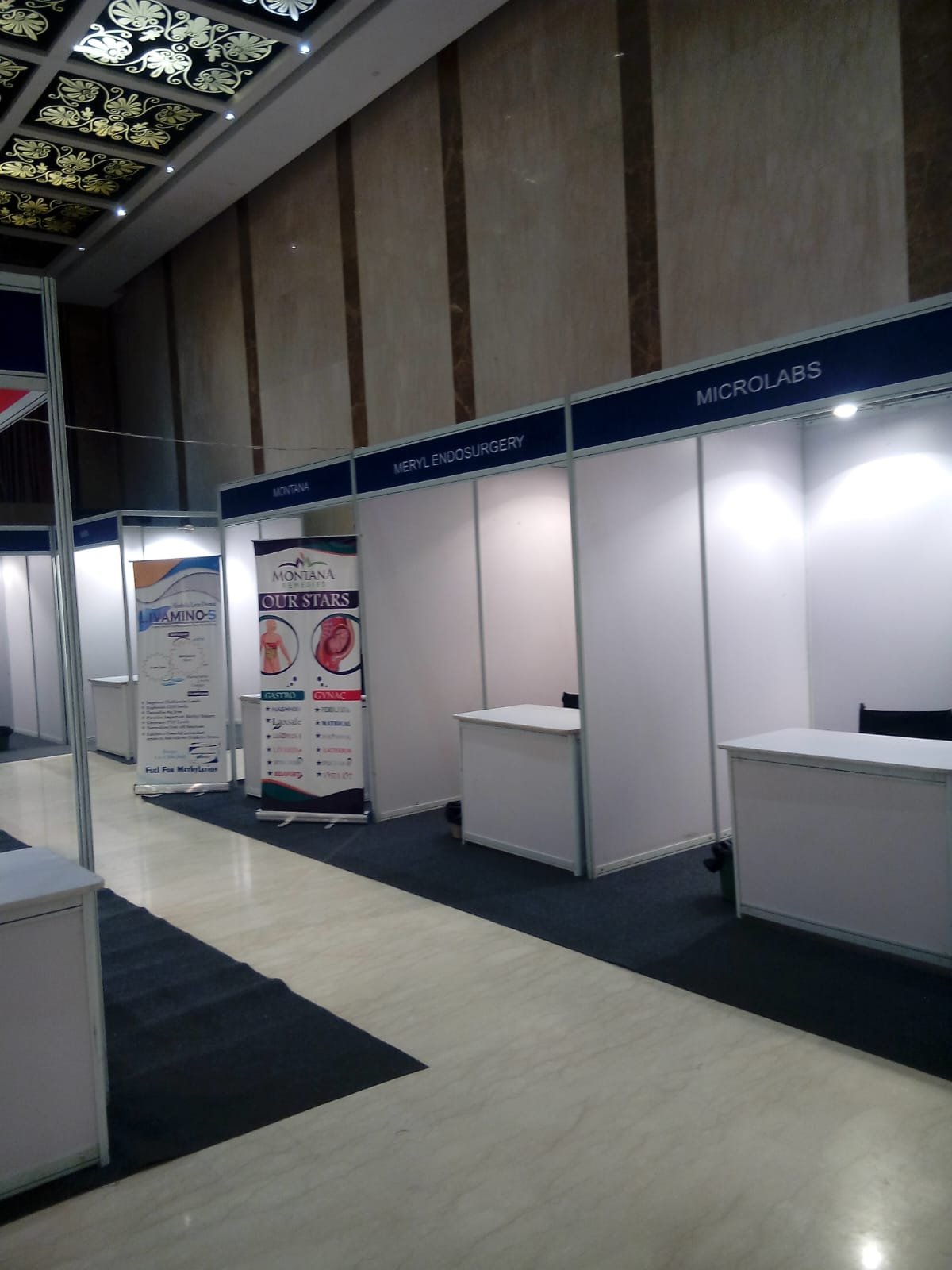 6th Transhindon Medicon — Medical Conference, Ghaziabad