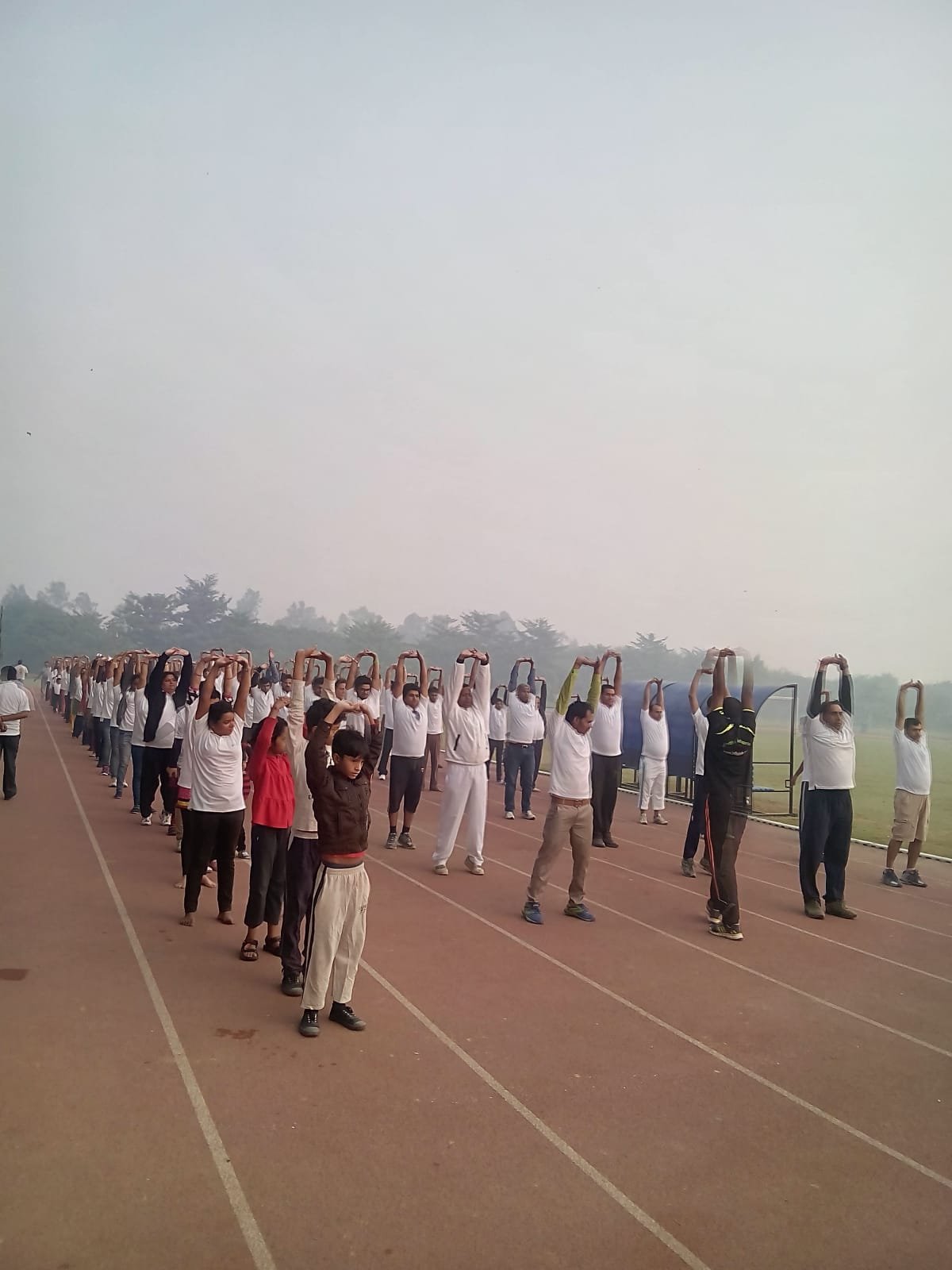 Amway Nutrilite activity