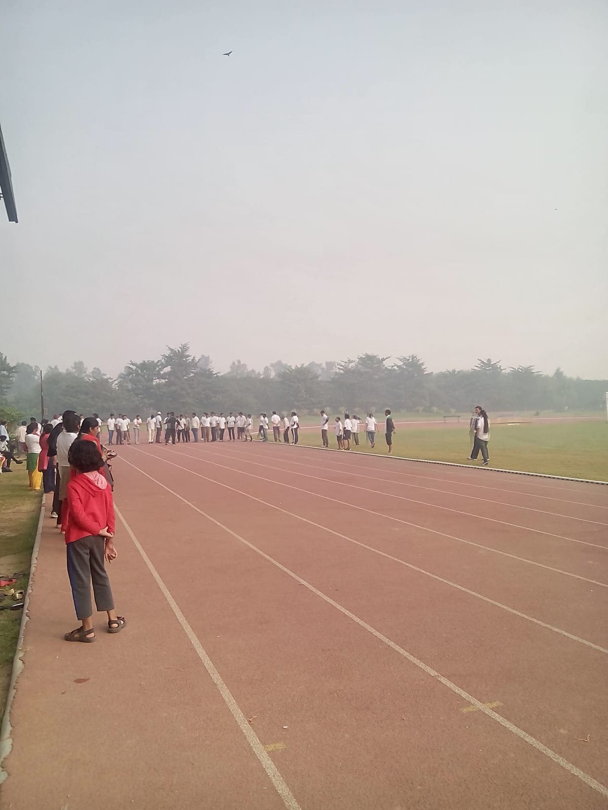 Amway Nutrilite activity